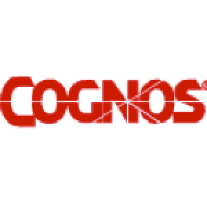 Cognos Data Security Client